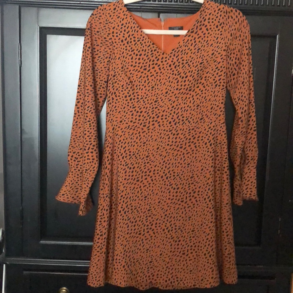 ANN TAYLOR Leopard Dress